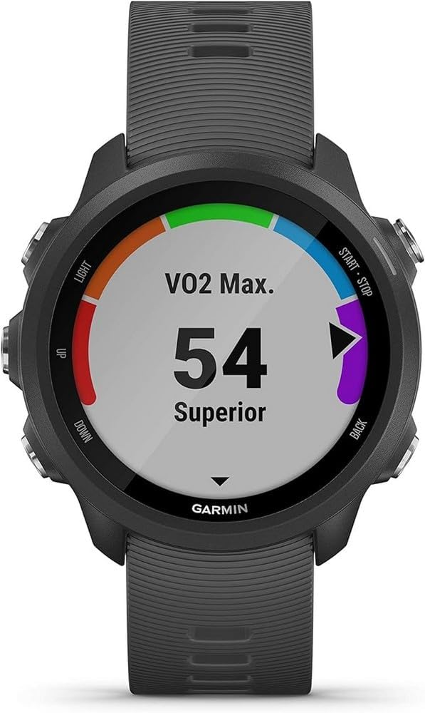 Forerunner 245 GPS Running Smartwatch, with Running and Training Features, Slate Band